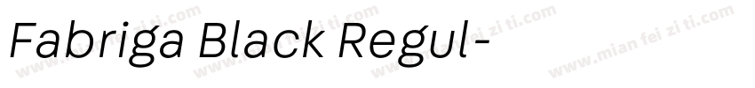Fabriga Black Regul字体转换
